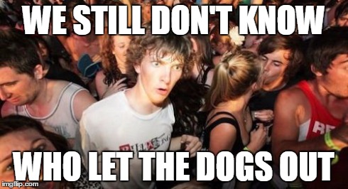 Throwback Thoughts | WE STILL DON'T KNOW WHO LET THE DOGS OUT | image tagged in memes,sudden clarity clarence | made w/ Imgflip meme maker