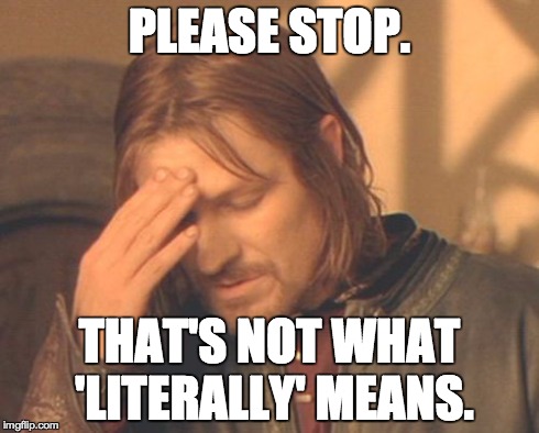 Frustrated Boromir | PLEASE STOP. THAT'S NOT WHAT 'LITERALLY' MEANS. | image tagged in memes,frustrated boromir | made w/ Imgflip meme maker