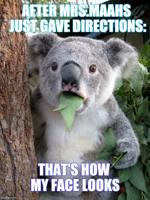 Surprised Koala | AFTER MRS.MAAHS JUST GAVE DIRECTIONS: THAT'S HOW MY FACE LOOKS | image tagged in memes,surprised koala | made w/ Imgflip meme maker