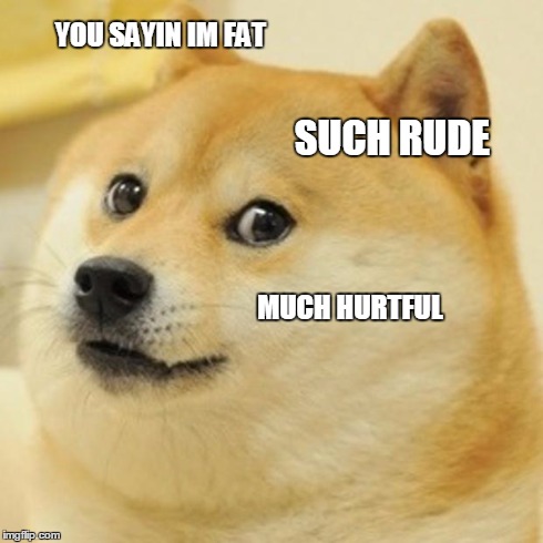 Doge Meme | YOU SAYIN IM FAT SUCH RUDE MUCH HURTFUL | image tagged in memes,doge | made w/ Imgflip meme maker