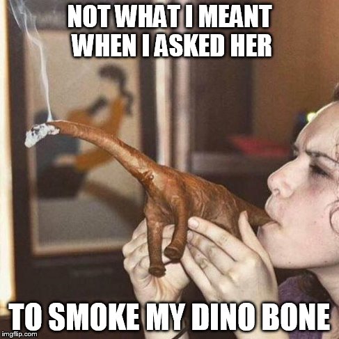 Cigar dinosaur | NOT WHAT I MEANT WHEN I ASKED HER TO SMOKE MY DINO BONE | image tagged in cigar dinosaur | made w/ Imgflip meme maker