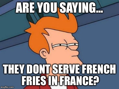 Futurama Fry | ARE YOU SAYING... THEY DONT SERVE FRENCH FRIES IN FRANCE? | image tagged in memes,futurama fry | made w/ Imgflip meme maker