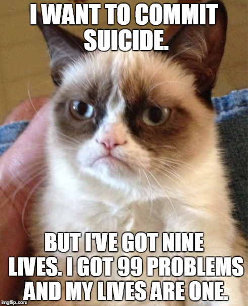 Grumpy Cat | I WANT TO COMMIT SUICIDE. BUT I'VE GOT NINE LIVES. I GOT 99 PROBLEMS AND MY LIVES ARE ONE. | image tagged in memes,grumpy cat | made w/ Imgflip meme maker