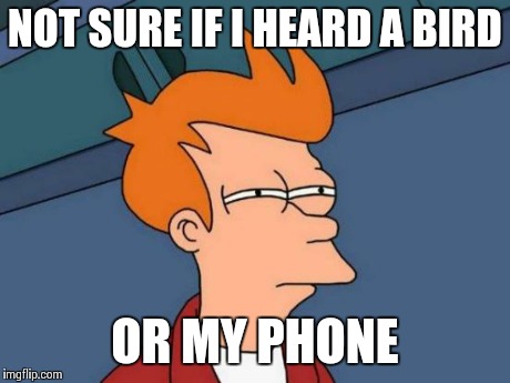 Futurama Fry | NOT SURE IF I HEARD A BIRD OR MY PHONE | image tagged in memes,futurama fry | made w/ Imgflip meme maker