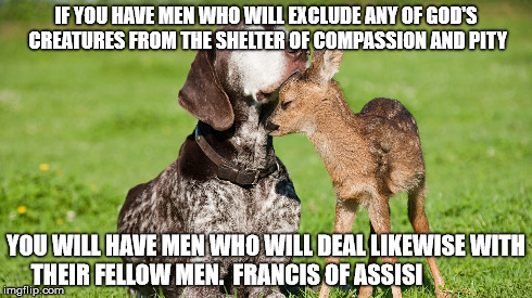 against animal abuse | IF YOU HAVE MEN WHO WILL EXCLUDE ANY OF GOD'S CREATURES FROM THE SHELTER OF COMPASSION AND PITY YOU WILL HAVE MEN WHO WILL DEAL LIKEWISE WIT | image tagged in animals,quotes | made w/ Imgflip meme maker
