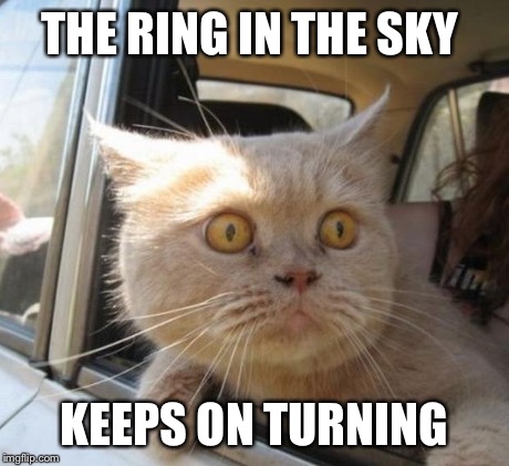 amazed cat | THE RING IN THE SKY KEEPS ON TURNING | image tagged in amazed cat | made w/ Imgflip meme maker