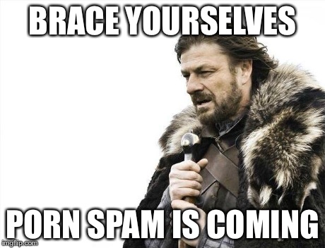 Brace Yourselves X is Coming Meme | BRACE YOURSELVES PORN SPAM IS COMING | image tagged in memes,brace yourselves x is coming | made w/ Imgflip meme maker
