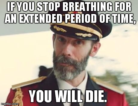 Captain Obvious | IF YOU STOP BREATHING FOR AN EXTENDED PERIOD OF TIME, YOU WILL DIE. | image tagged in captain obvious | made w/ Imgflip meme maker