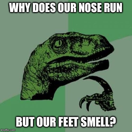 Philosoraptor | WHY DOES OUR NOSE RUN BUT OUR FEET SMELL? | image tagged in memes,philosoraptor | made w/ Imgflip meme maker