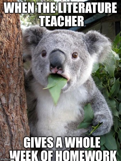 Surprised Koala Meme | WHEN THE LITERATURE TEACHER GIVES A WHOLE WEEK OF HOMEWORK | image tagged in memes,surprised koala | made w/ Imgflip meme maker