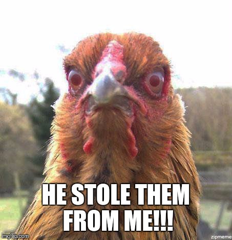 ANGRY AVIAN | HE STOLE THEM FROM ME!!! | image tagged in angry avian | made w/ Imgflip meme maker