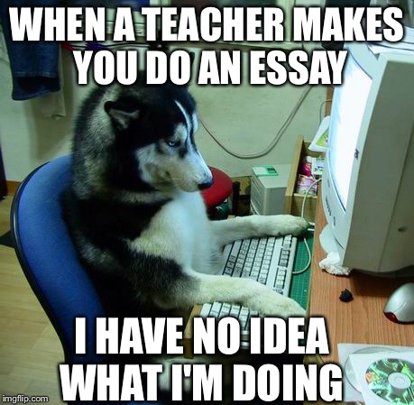 I Have No Idea What I Am Doing | WHEN A TEACHER MAKES YOU DO AN ESSAY I HAVE NO IDEA WHAT I'M DOING | image tagged in memes,i have no idea what i am doing | made w/ Imgflip meme maker