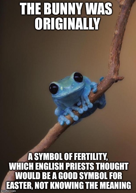 THE BUNNY WAS ORIGINALLY A SYMBOL OF FERTILITY, WHICH ENGLISH PRIESTS THOUGHT WOULD BE A GOOD SYMBOL FOR EASTER, NOT KNOWING THE MEANING | made w/ Imgflip meme maker