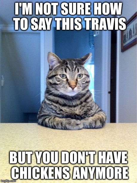 Take A Seat Cat | I'M NOT SURE HOW TO SAY THIS TRAVIS BUT YOU DON'T HAVE CHICKENS ANYMORE | image tagged in memes,take a seat cat | made w/ Imgflip meme maker