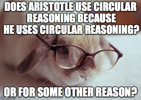 DOES ARISTOTLE USE CIRCULAR REASONING BECAUSE HE USES CIRCULAR REASONING? OR FOR SOME OTHER REASON? | image tagged in philosobunny,philosophy,rabbit | made w/ Imgflip meme maker