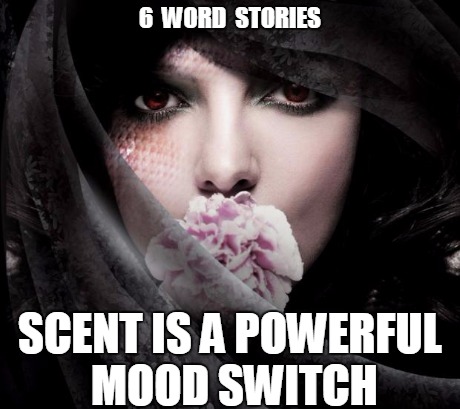 6 word stories 1 | 6  WORD  STORIES SCENT IS A POWERFUL MOOD SWITCH | image tagged in mystical 3,love | made w/ Imgflip meme maker