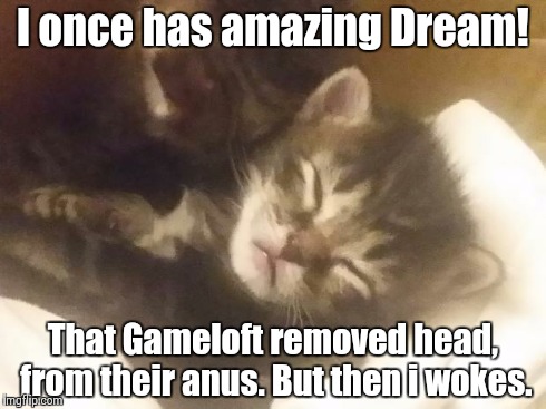I once has amazing Dream! That Gameloft removed head, from their anus. But then i wokes. | image tagged in to dream big,gameloft,lolcats | made w/ Imgflip meme maker