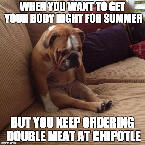 sad dog | WHEN YOU WANT TO GET YOUR BODY RIGHT FOR SUMMER BUT YOU KEEP ORDERING DOUBLE MEAT AT CHIPOTLE | image tagged in sad dog | made w/ Imgflip meme maker