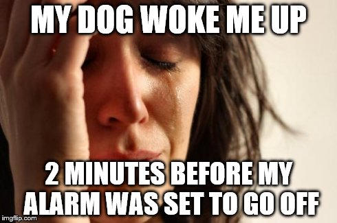 It's happed 3 days in a row | MY DOG WOKE ME UP 2 MINUTES BEFORE MY ALARM WAS SET TO GO OFF | image tagged in memes,first world problems | made w/ Imgflip meme maker