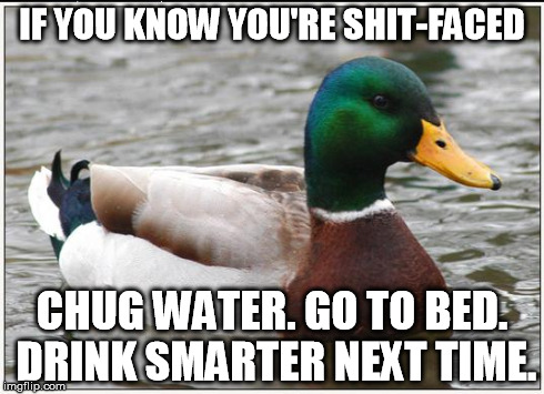 Actual Advice Mallard | IF YOU KNOW YOU'RE SHIT-FACED CHUG WATER. GO TO BED. DRINK SMARTER NEXT TIME. | image tagged in memes,actual advice mallard | made w/ Imgflip meme maker