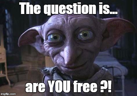 Nowdays, nothing is certain. | The question is... are YOU free ?! | image tagged in freedom,dobby,harry potter,question | made w/ Imgflip meme maker