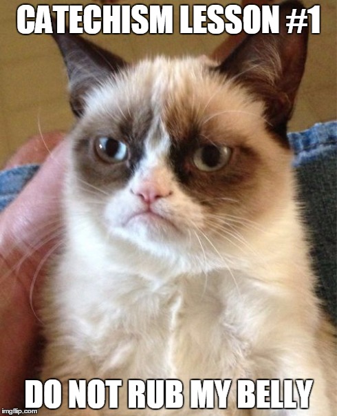 Pain Compliance | CATECHISM LESSON #1 DO NOT RUB MY BELLY | image tagged in memes,grumpy cat | made w/ Imgflip meme maker