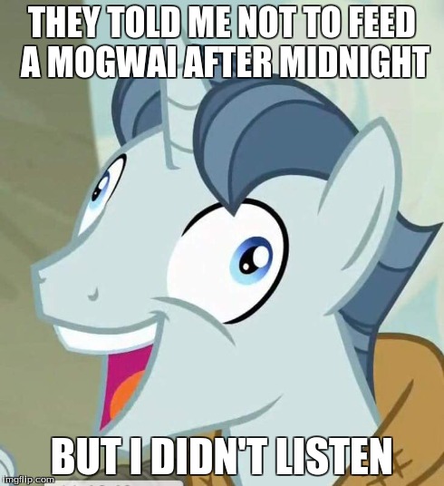 THEY TOLD ME NOT TO FEED A MOGWAI AFTER MIDNIGHT BUT I DIDN'T LISTEN | image tagged in memes,mlp,gremlins | made w/ Imgflip meme maker
