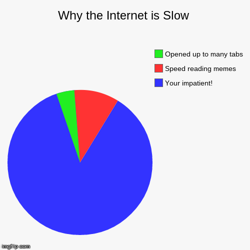 image tagged in funny,pie charts,internet,impatience,slow | made w/ Imgflip chart maker