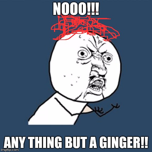 Y U No | NOOO!!! ANY THING BUT A GINGER!! | image tagged in memes,y u no,ginger | made w/ Imgflip meme maker