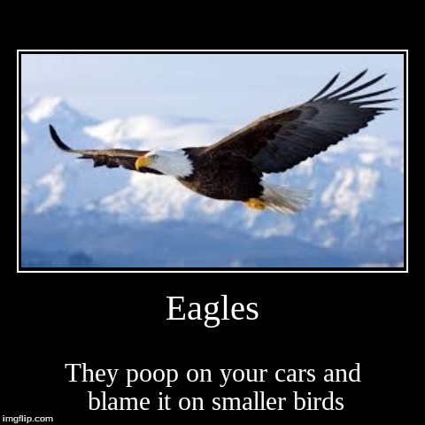 image tagged in funny,demotivationals,eagles | made w/ Imgflip demotivational maker
