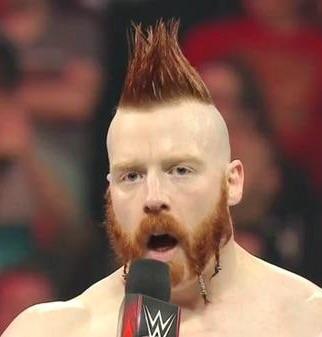 High Quality Sheamus Blank Meme Template