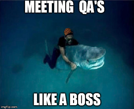 QA Like a Boss | MEETING  QA'S LIKE A BOSS | image tagged in qa,like a boss | made w/ Imgflip meme maker