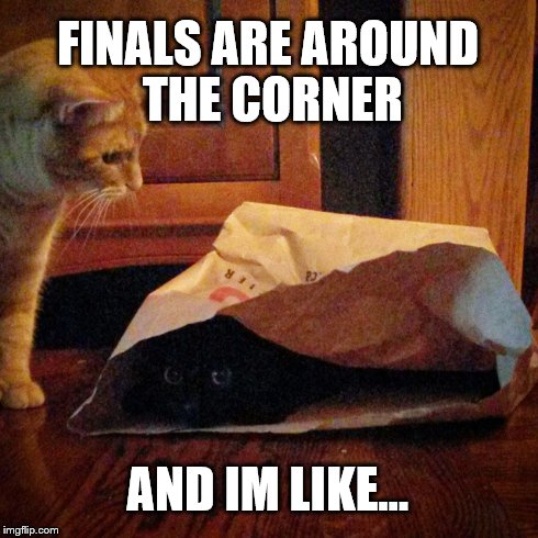 FINALS ARE AROUND THE CORNER AND IM LIKE... | image tagged in cat,kitten,final,exam,scared,hide | made w/ Imgflip meme maker