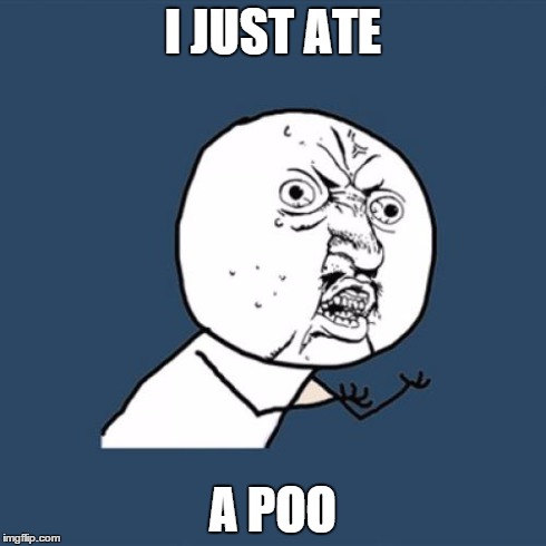 My 5 year old cousin's idea of a meme. Its dumb. | I JUST ATE A POO | image tagged in memes,y u no | made w/ Imgflip meme maker