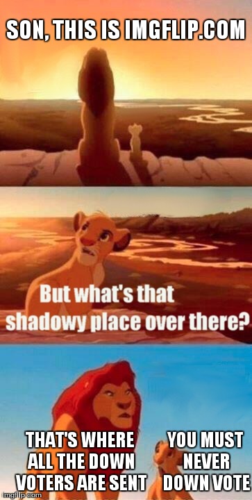 Simba Shadowy Place | SON, THIS IS IMGFLIP.COM THAT'S WHERE ALL THE DOWN VOTERS ARE SENT YOU MUST NEVER DOWN VOTE | image tagged in memes,simba shadowy place | made w/ Imgflip meme maker