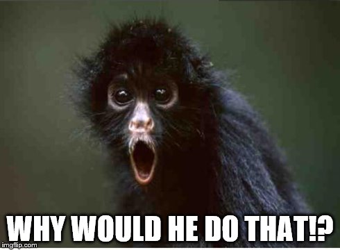 Spider monkey | WHY WOULD HE DO THAT!? | image tagged in spider monkey | made w/ Imgflip meme maker