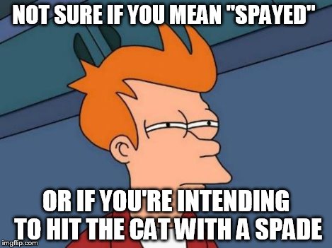 Futurama Fry Meme | NOT SURE IF YOU MEAN "SPAYED" OR IF YOU'RE INTENDING TO HIT THE CAT WITH A SPADE | image tagged in memes,futurama fry | made w/ Imgflip meme maker