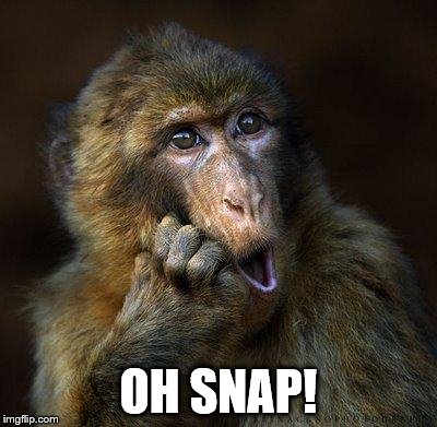 Monkey | OH SNAP! | image tagged in monkey | made w/ Imgflip meme maker