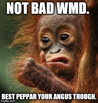 Darts Monkey | NOT BAD WMD. BEST PEPPAR YOUR ANGUS THOUGH. | image tagged in darts monkey | made w/ Imgflip meme maker