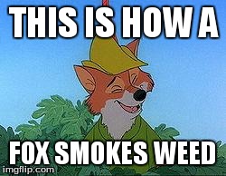 Smoke Weed | THIS IS HOW A FOX SMOKES WEED | image tagged in smoke weed,robin hood | made w/ Imgflip meme maker