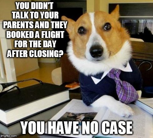 Lawyer Dog | YOU DIDN'T TALK TO YOUR PARENTS AND THEY BOOKED A FLIGHT FOR THE DAY AFTER CLOSING? YOU HAVE NO CASE | image tagged in lawyer dog | made w/ Imgflip meme maker