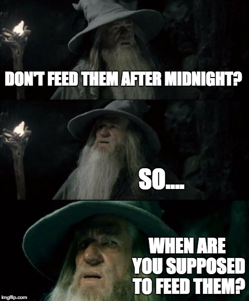Confused Gandalf Meme | DON'T FEED THEM AFTER MIDNIGHT? SO.... WHEN ARE YOU SUPPOSED TO FEED THEM? | image tagged in memes,confused gandalf | made w/ Imgflip meme maker