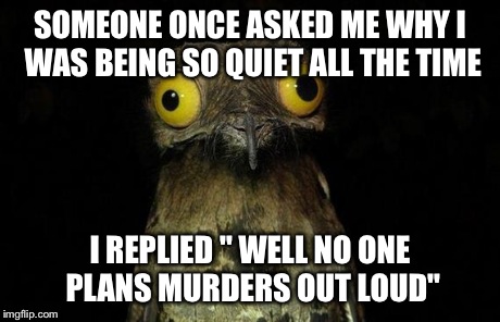 Weird Stuff I Do Potoo Meme | SOMEONE ONCE ASKED ME WHY I WAS BEING SO QUIET ALL THE TIME I REPLIED " WELL NO ONE PLANS MURDERS OUT LOUD" | image tagged in memes,weird stuff i do potoo | made w/ Imgflip meme maker