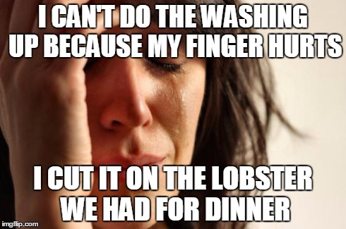First World Problems Meme | I CAN'T DO THE WASHING UP BECAUSE MY FINGER HURTS I CUT IT ON THE LOBSTER WE HAD FOR DINNER | image tagged in memes,first world problems,AdviceAnimals | made w/ Imgflip meme maker