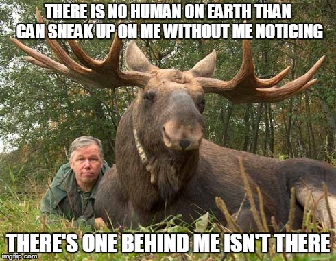 Sneaky, sneaky | THERE IS NO HUMAN ON EARTH THAN CAN SNEAK UP ON ME WITHOUT ME NOTICING THERE'S ONE BEHIND ME ISN'T THERE | image tagged in moose | made w/ Imgflip meme maker
