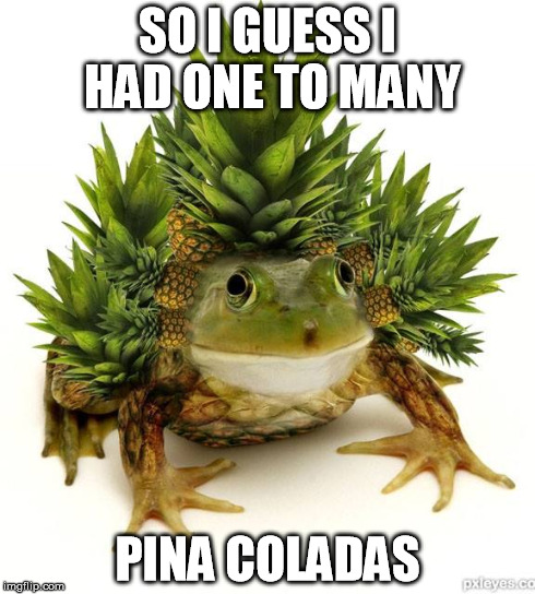 PINEAPPLE DURESS | SO I GUESS I HAD ONE TO MANY PINA COLADAS | image tagged in frog,pineapple | made w/ Imgflip meme maker