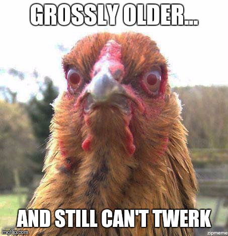 ANGRY AVIAN | GROSSLY OLDER... AND STILL CAN'T TWERK | image tagged in angry avian | made w/ Imgflip meme maker