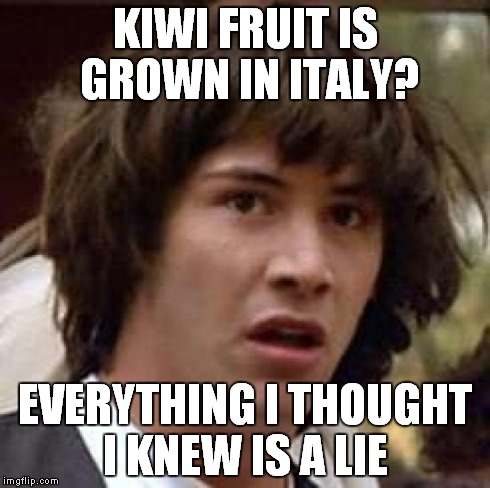 i thought kiwi were a tropical island fruit, like from some exotic place like Guam or New Zealand | KIWI FRUIT IS GROWN IN ITALY? EVERYTHING I THOUGHT I KNEW IS A LIE | image tagged in memes,conspiracy keanu,fruit,italy | made w/ Imgflip meme maker