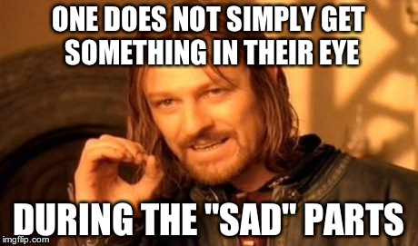 One Does Not Simply Meme | ONE DOES NOT SIMPLY GET SOMETHING IN THEIR EYE DURING THE "SAD" PARTS | image tagged in memes,one does not simply | made w/ Imgflip meme maker