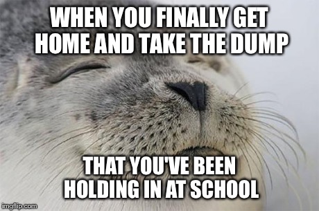 Satisfied Seal Meme | WHEN YOU FINALLY GET HOME AND TAKE THE DUMP THAT YOU'VE BEEN HOLDING IN AT SCHOOL | image tagged in memes,satisfied seal | made w/ Imgflip meme maker